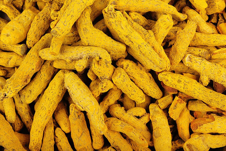 Best Turmeric Exporters in India