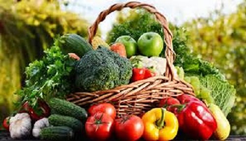 Vegetable Exporters In India