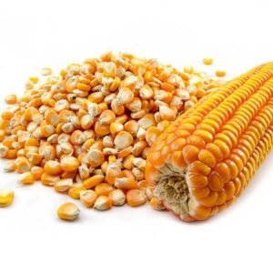 Maize