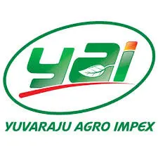 Onion Exporters from India