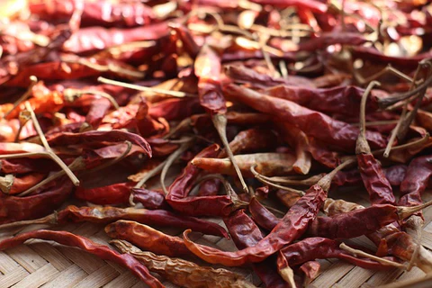 Top Importing Countries for Indian Dry Chilli
